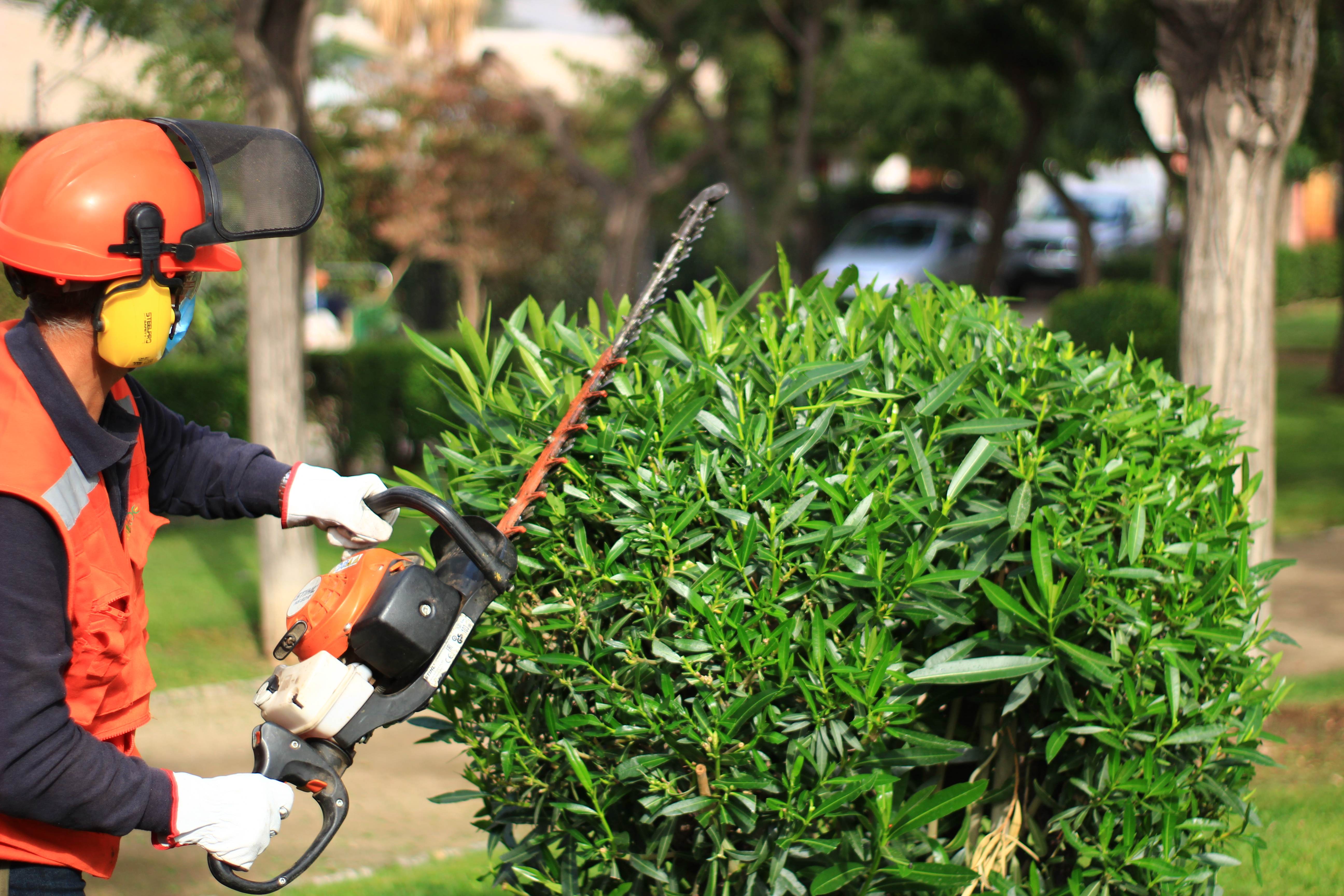 Environmental Hygiene