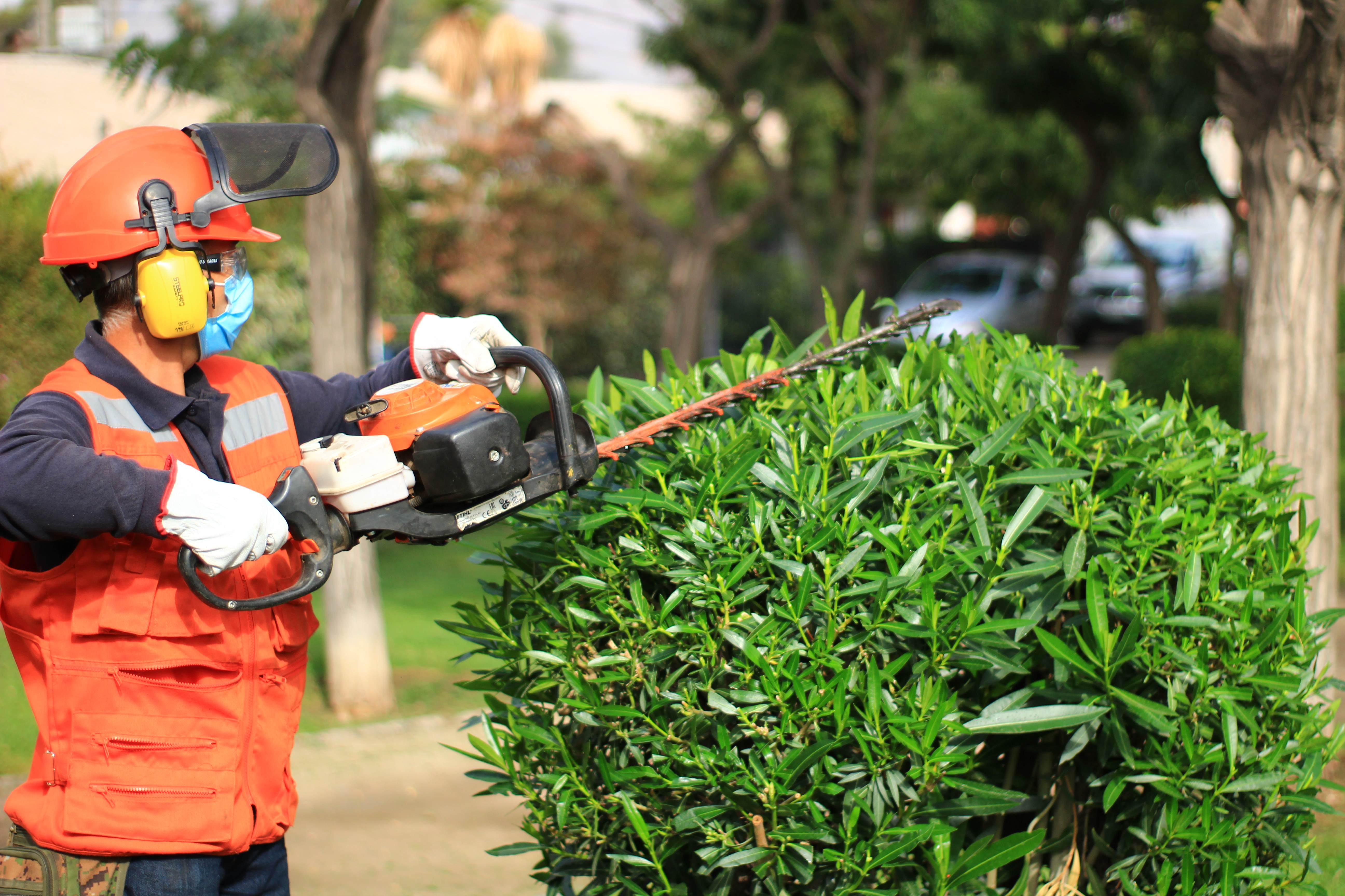 Trabajador de Soloverde podando un arbusto