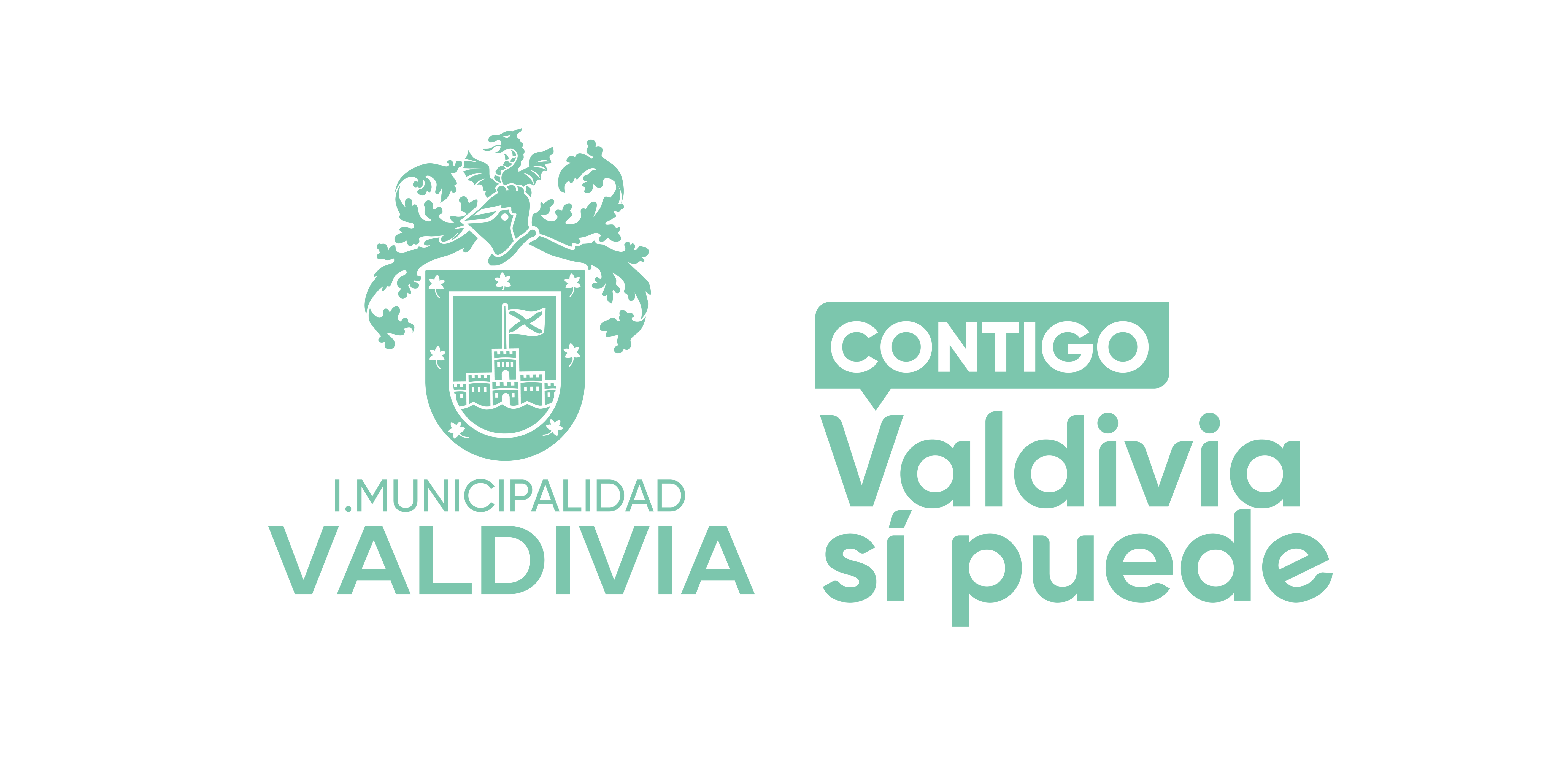 Logo I.MUNICIPALIDAD DE VALDIVIA